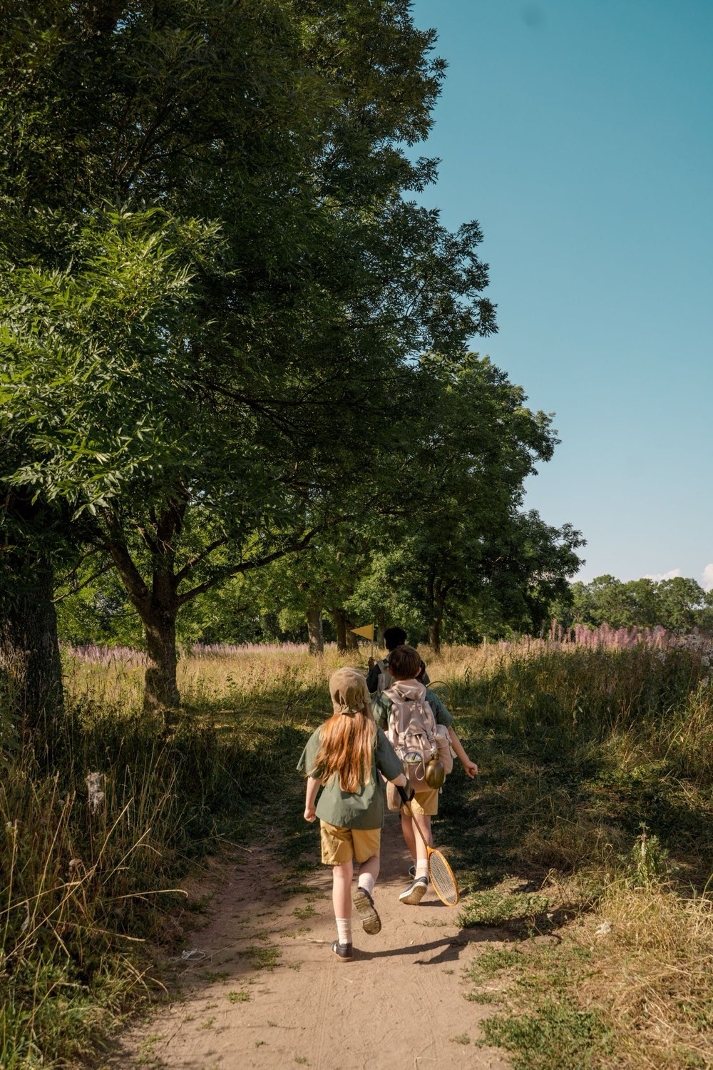 Children walking up a sunny dirt path through a meadow, carrying butterfly nets
